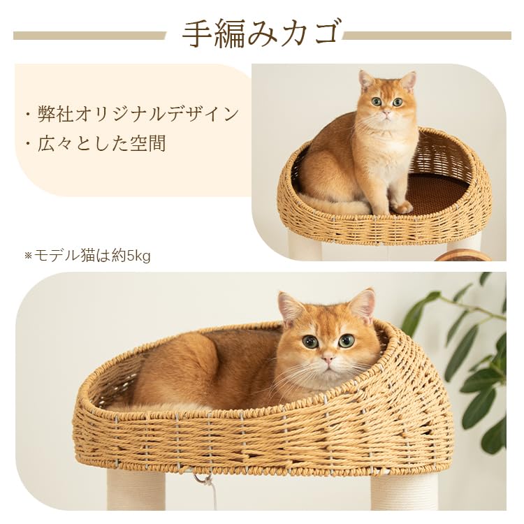 Amazon | 【なになにLife】 キャットタワー 木製 大型 天然木 高さ